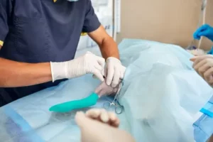 Pet Surgery In Lehi Lehihillsvet (1)